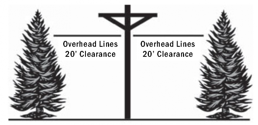 Tree clearance graphic